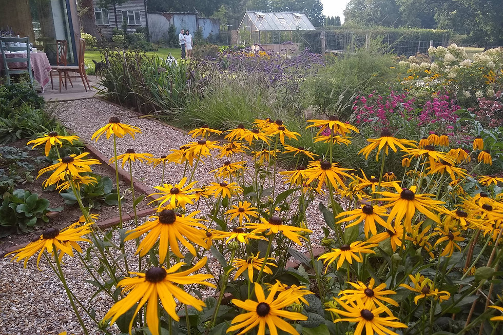 East-Sussex-7-garden-design-landscaping.