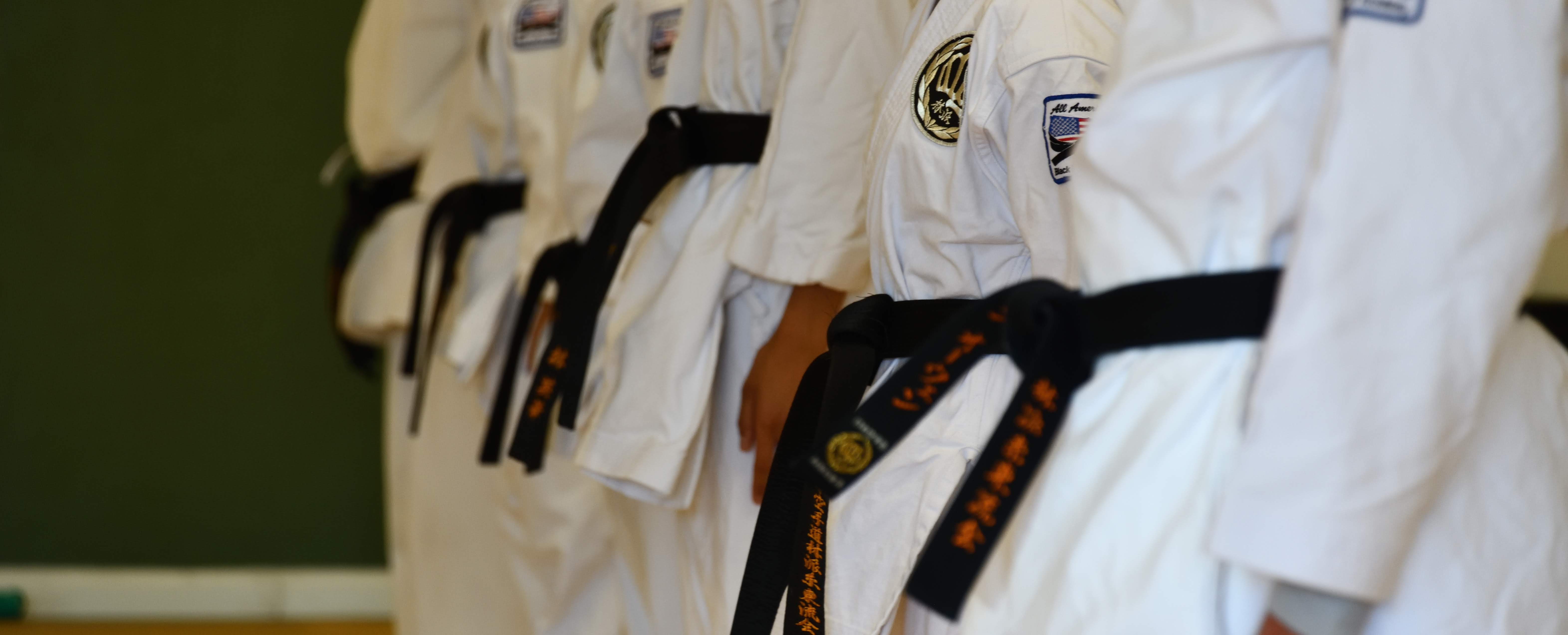 Classes All American Black Belt Academy