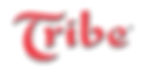 Boston Video Production Tribe