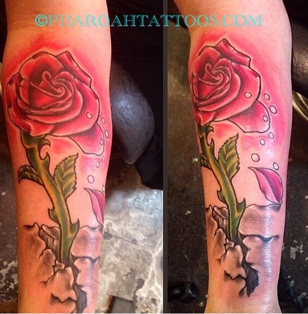 pharoah tattoos long stem rose tattoo pharoah tattoos long stem rose tattoo