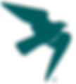 Falcon_Transparant Logo_teal.png
