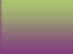 background green at top image.jpg