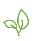 producción agrícola de fruta para exportar