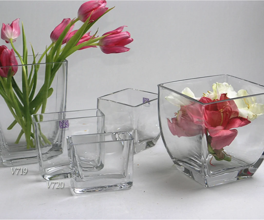 Bx Glass Sale Items
