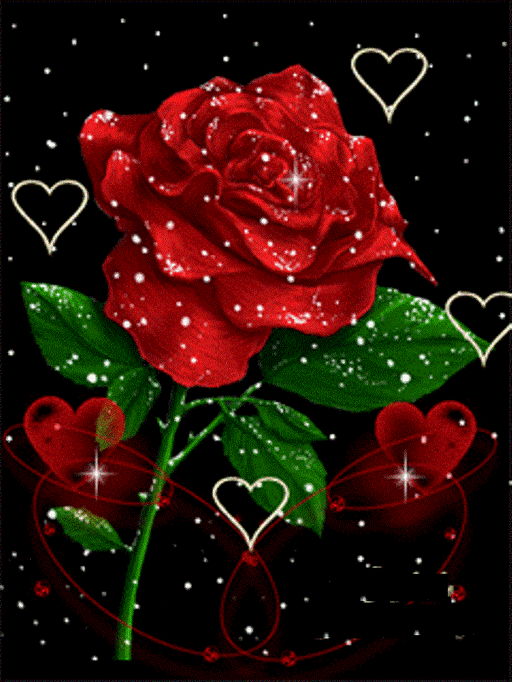5ff5bf_07f9b5723ebe66a00242f400e55691ee.
