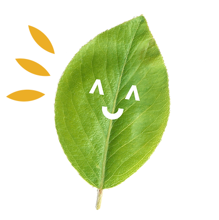 CLO-web-09.png