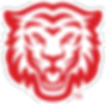 Tiger Head Logo