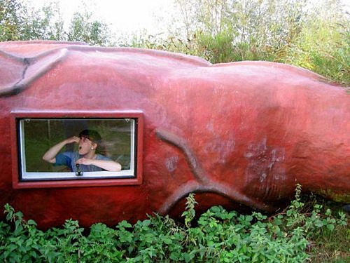 http://static.wixstatic.com/media/60af9d_01eda748f32443e0870edd41f43d97ee.jpg_srz_p_500_375_85_22_0.50_1.20_0.00_jpg_srz