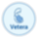 iOS Icon-01.png