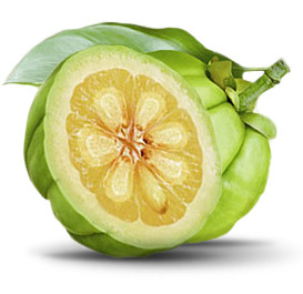 Balanced diet weekly plan picture 5