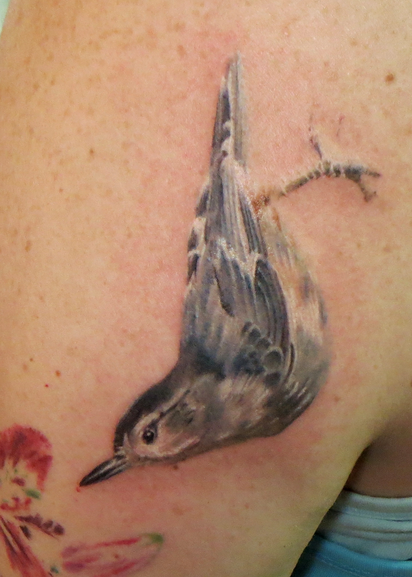 tattoos by josiah schmelzer realistic nuthatch bird tattoo tattoos by josiah schmelzer realistic nuthatch bird tattoo