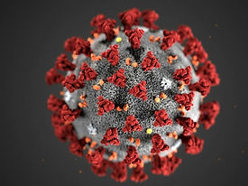 CoronaVirus.jpg