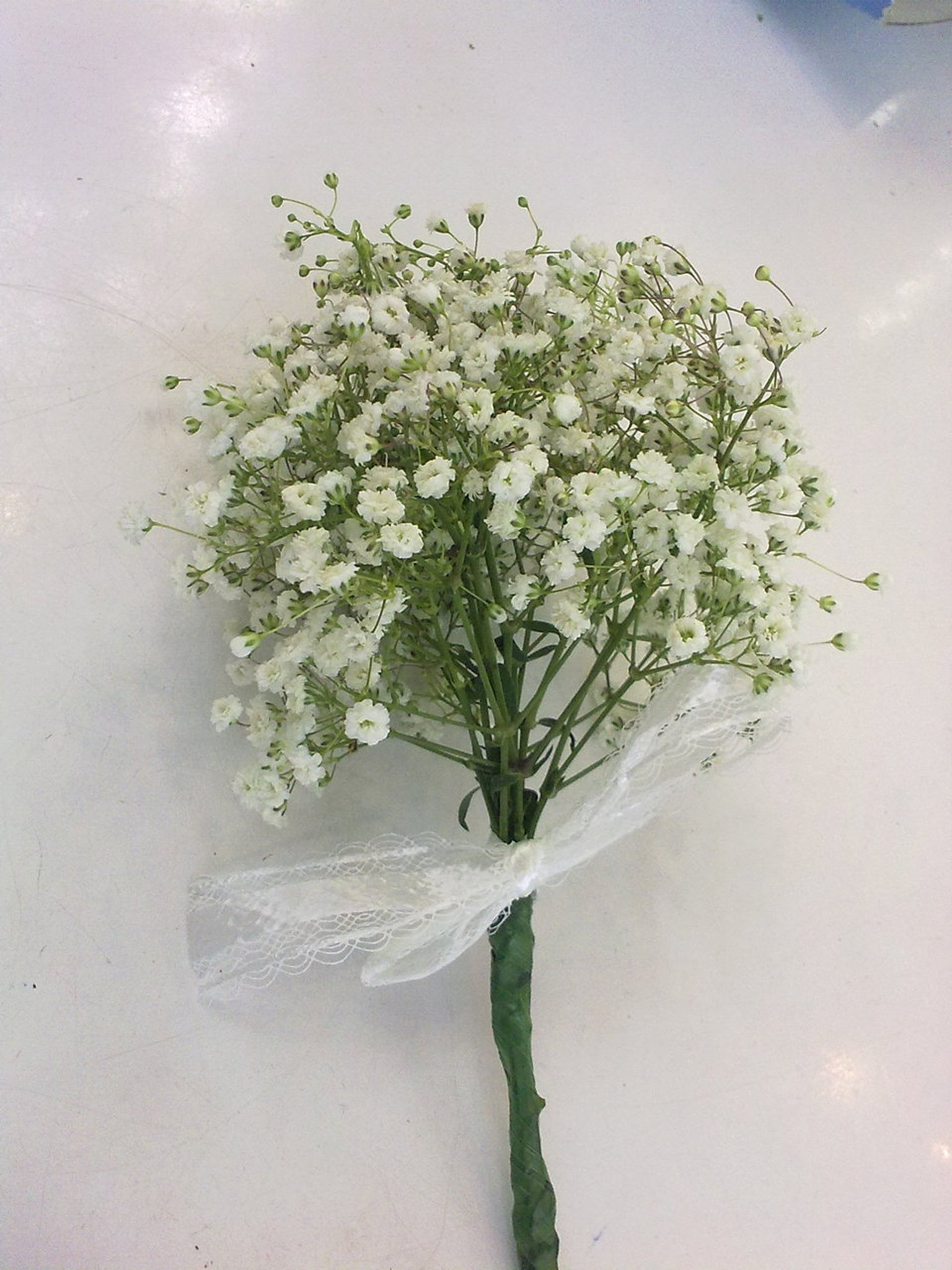 Image Result For Garden Nurseries In