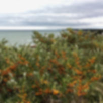 Spodsbjerg_kvadrat.jpg