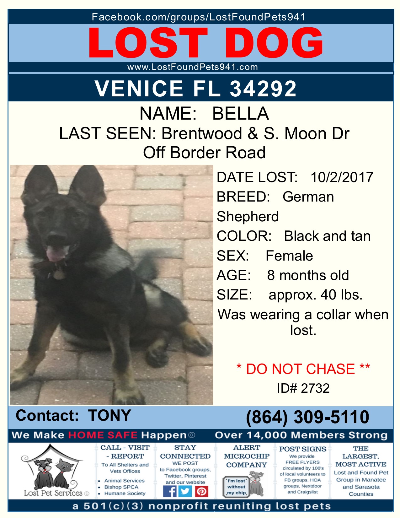 how to make a lost dog poster