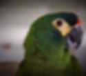 image4.jpeg