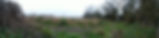 View from Long Sit rewilding.jpg
