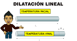inicials vs final inicials vs final