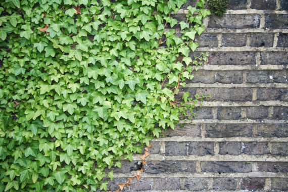 Aislamiento de fachadas jardines termico exterior