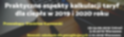 baner tdc 13.png