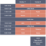 workshop timetable.png