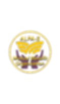 ALPAS-MBO.png