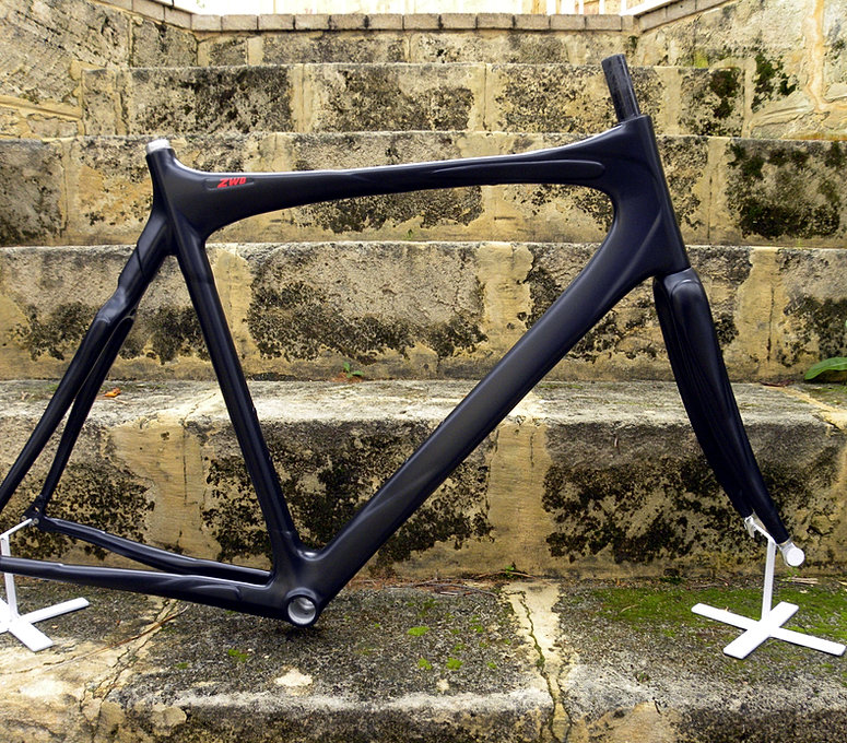 Carbon frames cusom painting