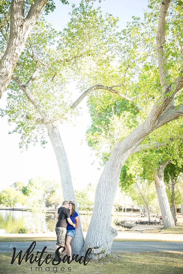 Floyd Lamb Park Engagements Tabitha Ryan Bay Area Wedding Floyd Lamb Park Engagements Tabitha Ryan