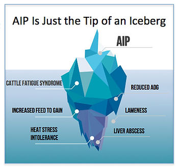 AIP-graph.jpg