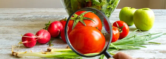 Resultado de imagem para segurança alimentar