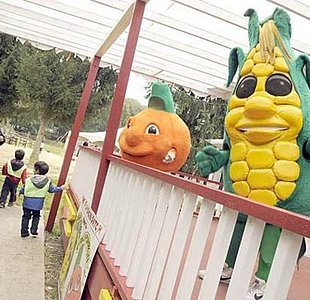 Richmond Area Pumpkin Patches