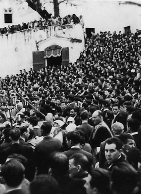 Rio Maior Antigo 023b_edited.png