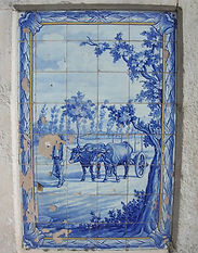 DSCN4622.JPG