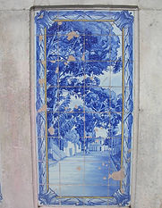 DSCN4623.JPG