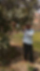 55495089_555838304935287_387085447540926