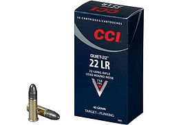 22 LR.jpg