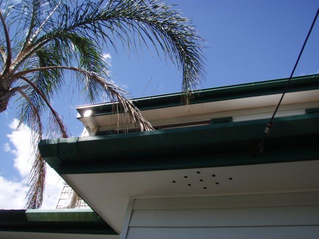 66c452 6da786b4f505436cbc3d952a774e15fb~mv2 - Asbestos eave removal what to expect on the day