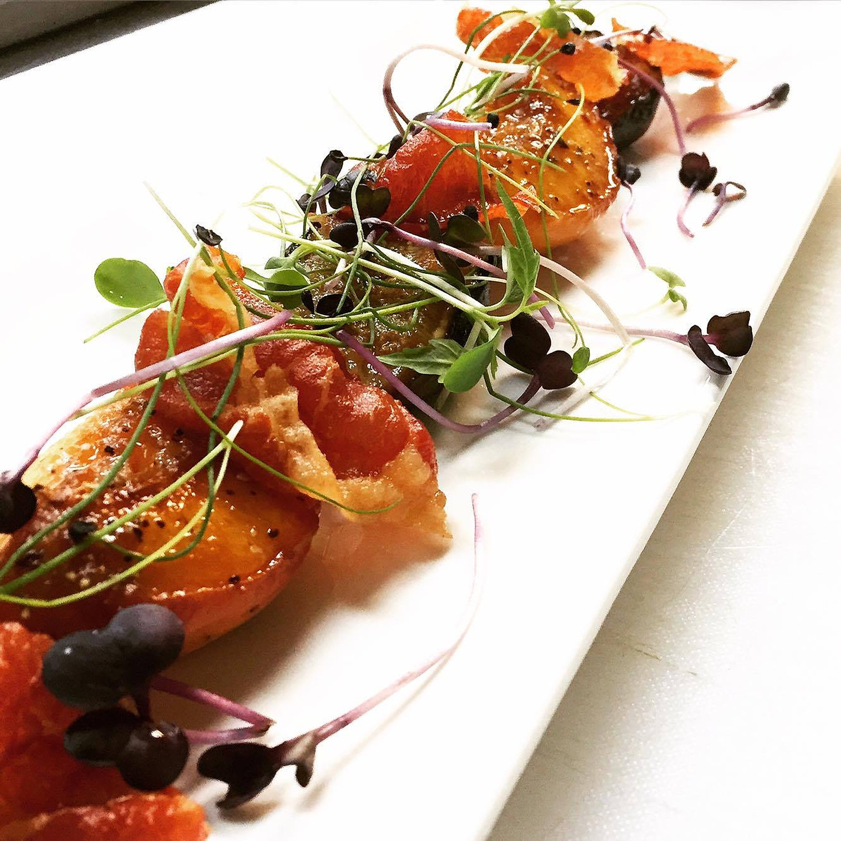 Laboratorio, Introduction