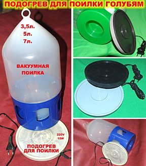 Поилка для голубей своими руками Поилка для голубей своими руками