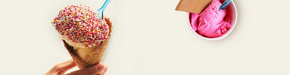 foto_header03_optimized.jpg