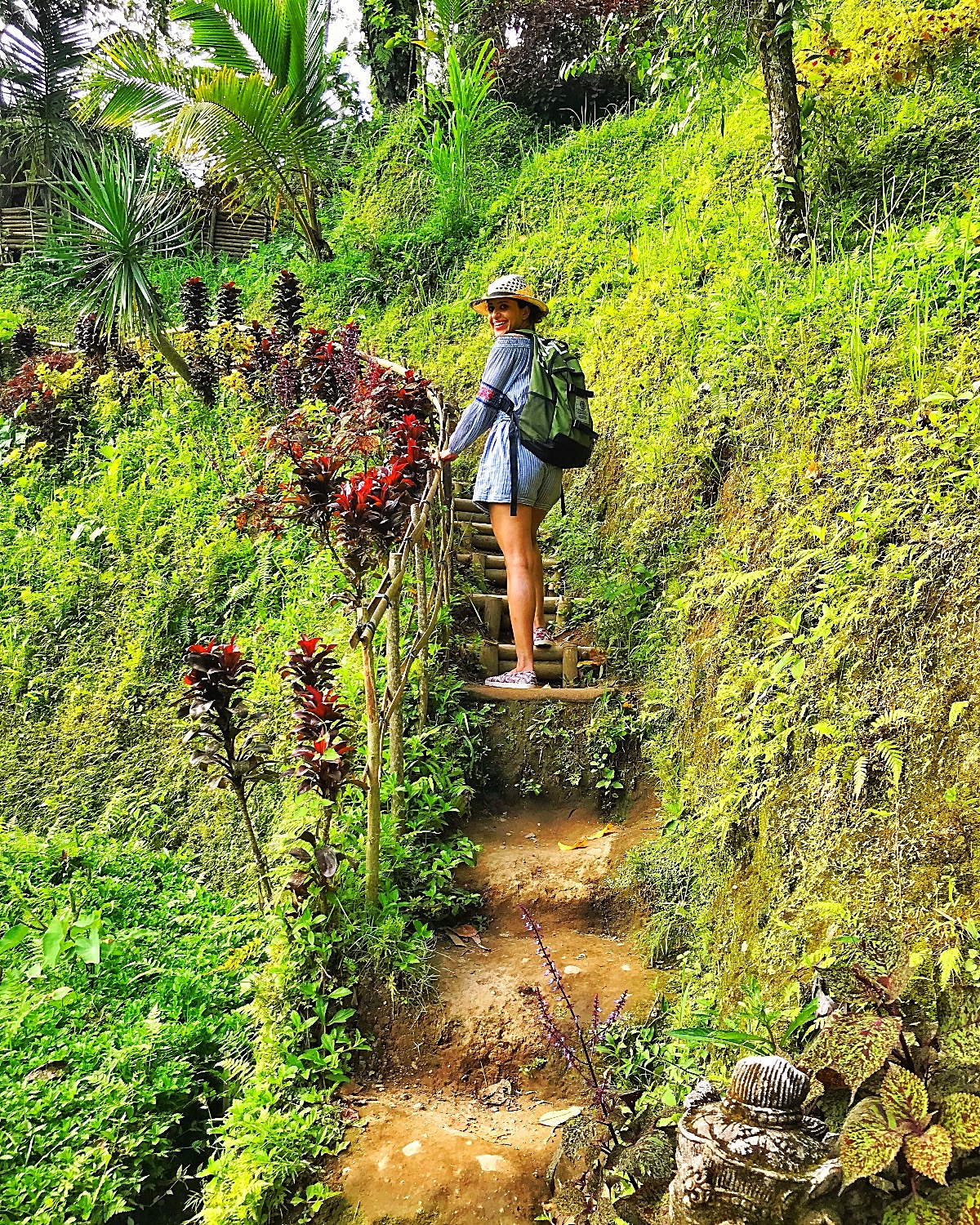 Tegallalang Rice Terraces