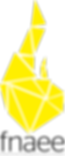 fnaee_logo_original.png