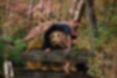Jason Zagaro, backbend pose