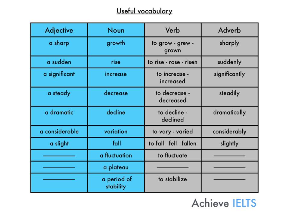 Essay Writing Vocabulary