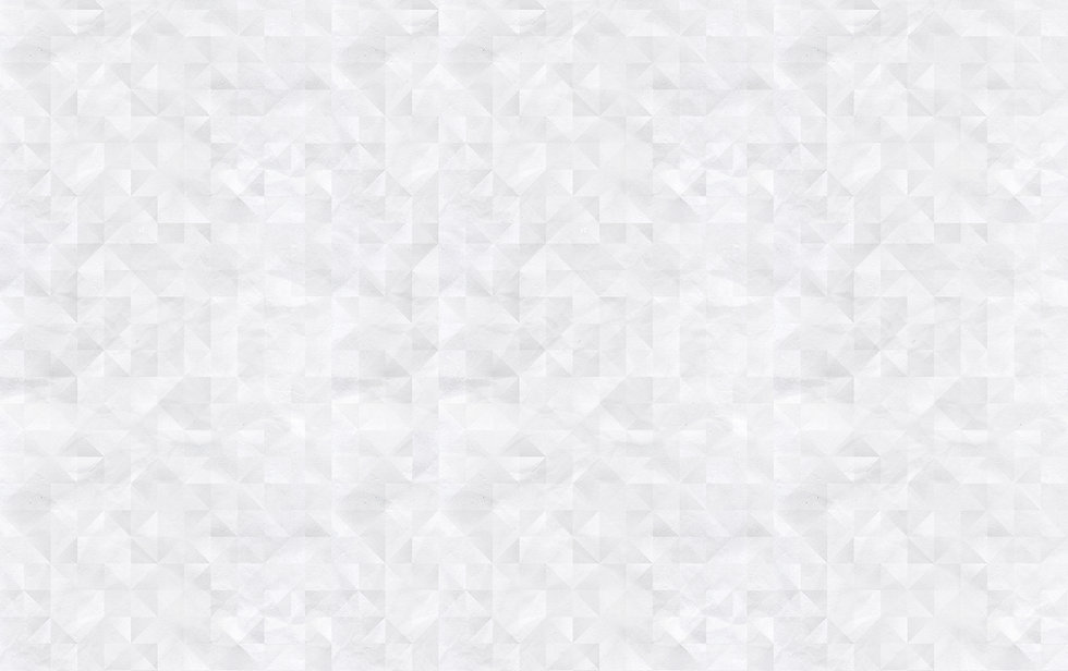 background-02_L - Copy.jpg