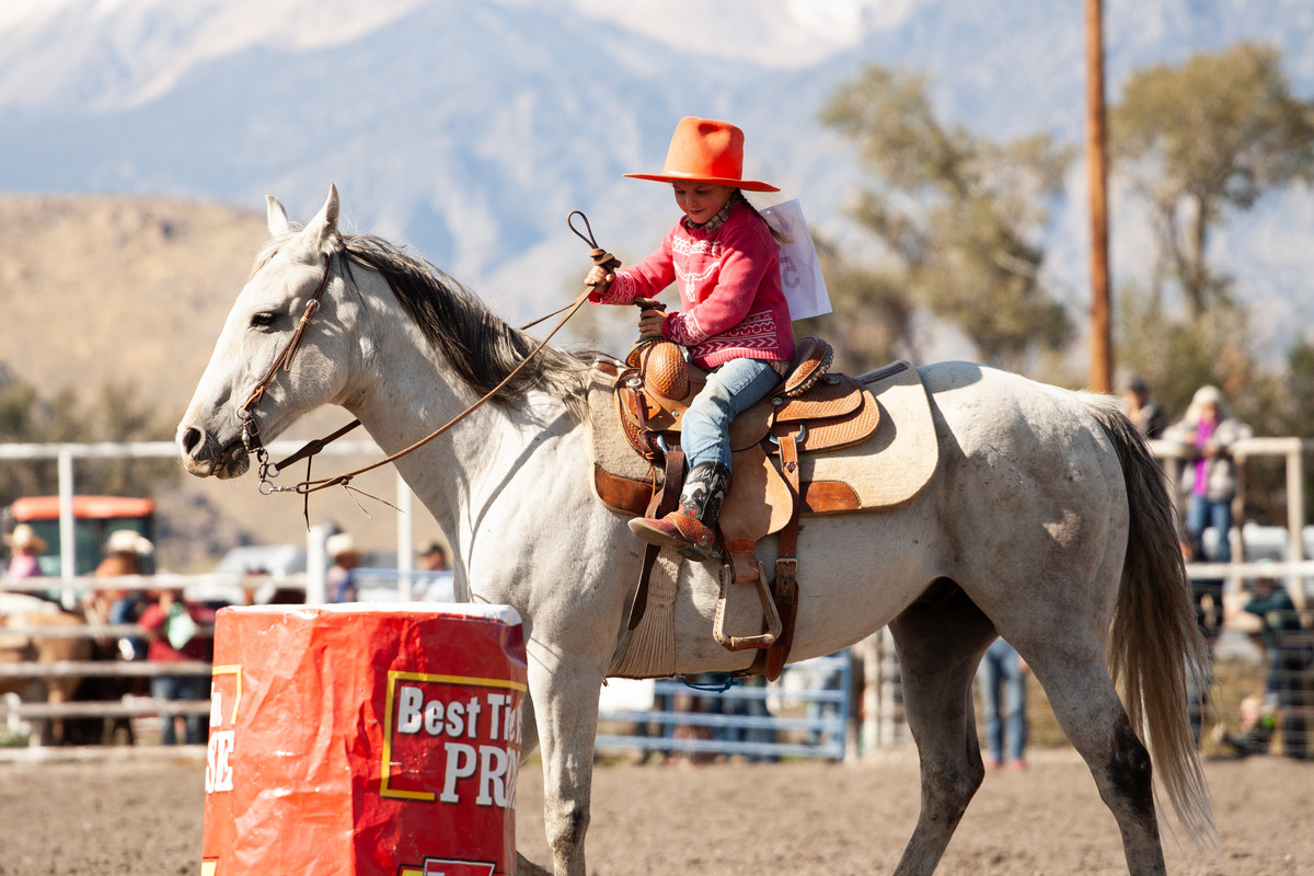 Barrel Racing & Stick Horse Racing