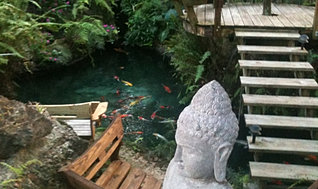 Miami Garden Venues , Miami Outdoor Venues