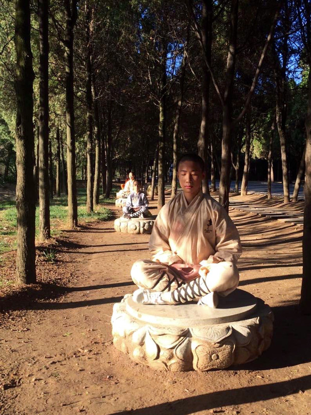 Chinese martial arts essay - buycustomwing.x.fc2.com