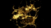 084579223_prevstill.jpeg