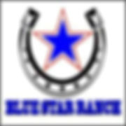 blue star ranch square logo.jpeg